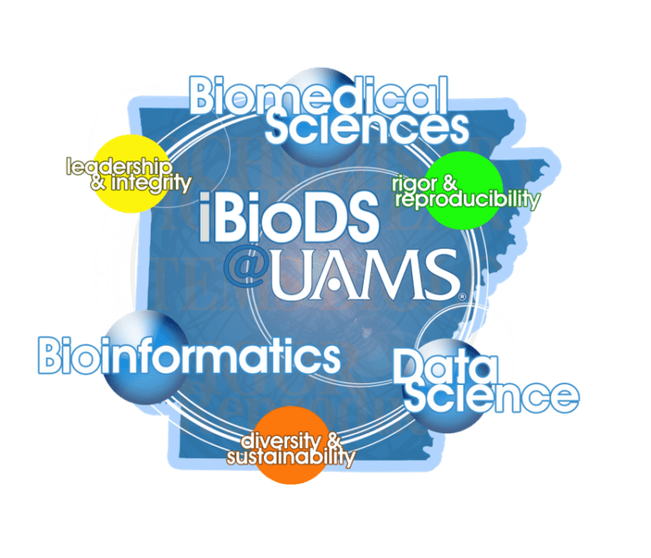 biomedical data science phd programs