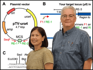 Picture of the authors in front of a plasmid map