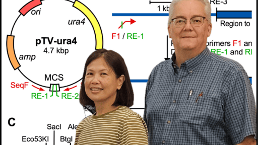 Picture of the authors in front of a plasmid map