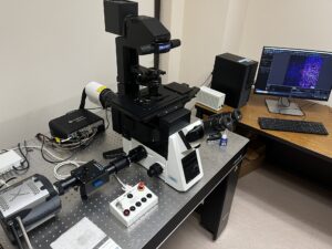 Image of a microscope designed for fluorescent detections.