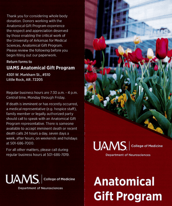 This image shows the front and back of the AGP program brochure.