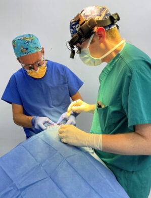 Two doctors operating on a patient