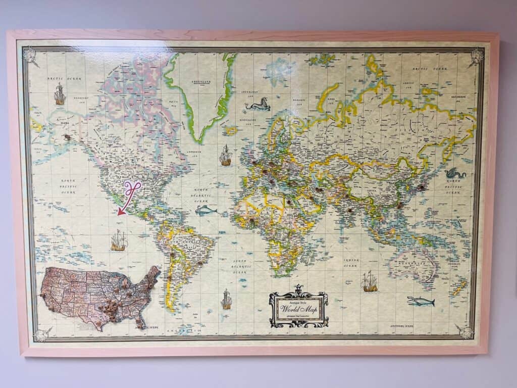 World map with pins showing home towns of different faculty/resdients