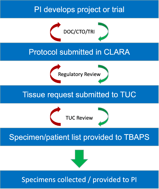 Graphic includes text: PI Develops Project or Trial, Protocol submitted in CLARA, TIssue Request submitted to TUC, Specimen/patient list provided to TBAPS, Specimens collected/provided to PI