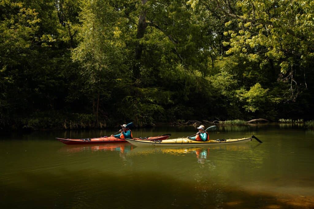 A pair of kayakers paddle around the Little Maumelle River