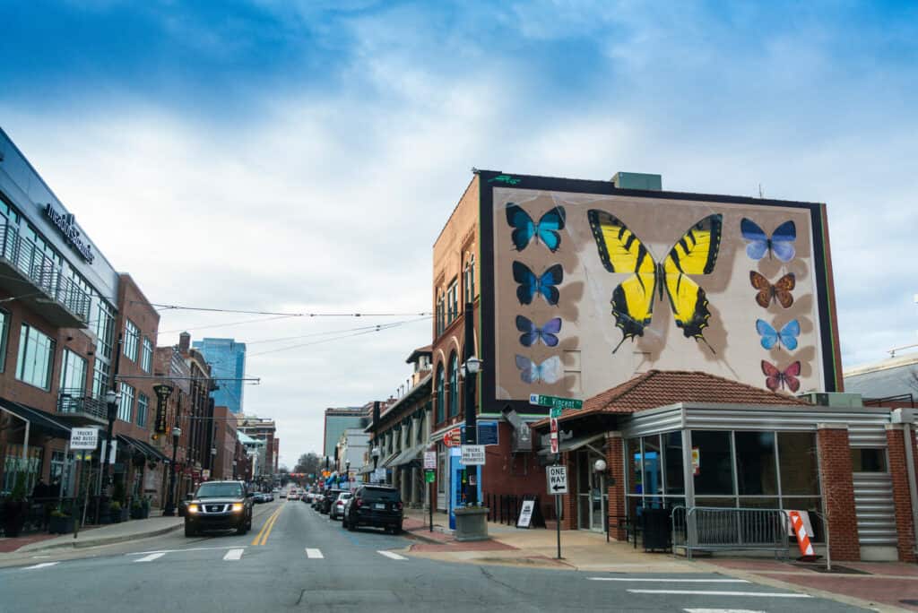 The east side of Little Rock's Ottenheimer River Market Hall is painted to resemble a gigantic butterfly display box. Inside are painted butterflies, each species is native to Arkansas