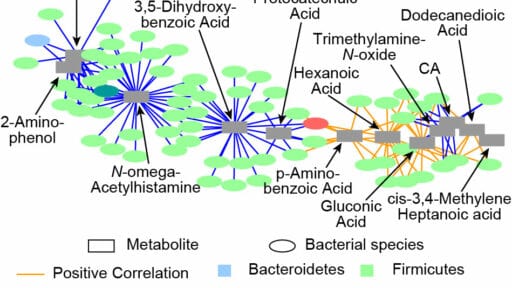 A microbial genomics Schematic from the the NextSeq500.
