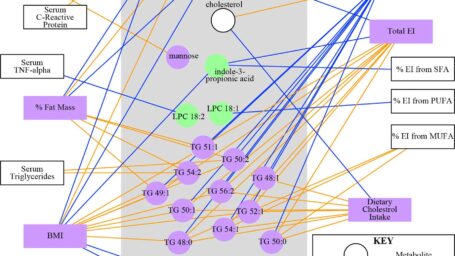 A figure generated by the computer program R and cytoscape