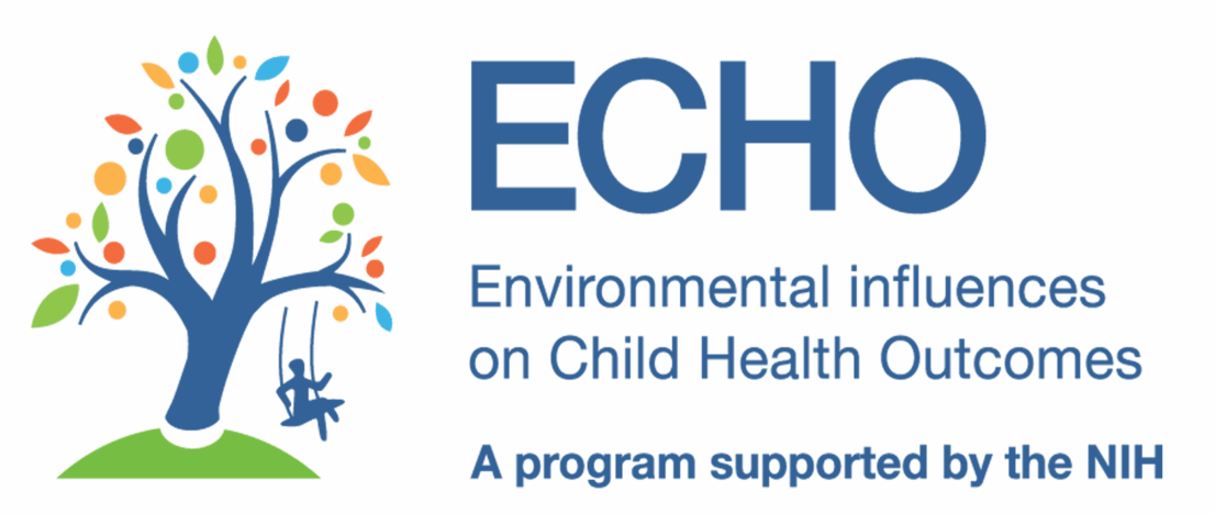 The logo for the ECHO IdEA network