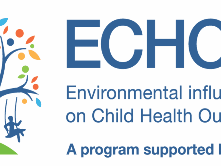 The logo for the ECHO IdEA network