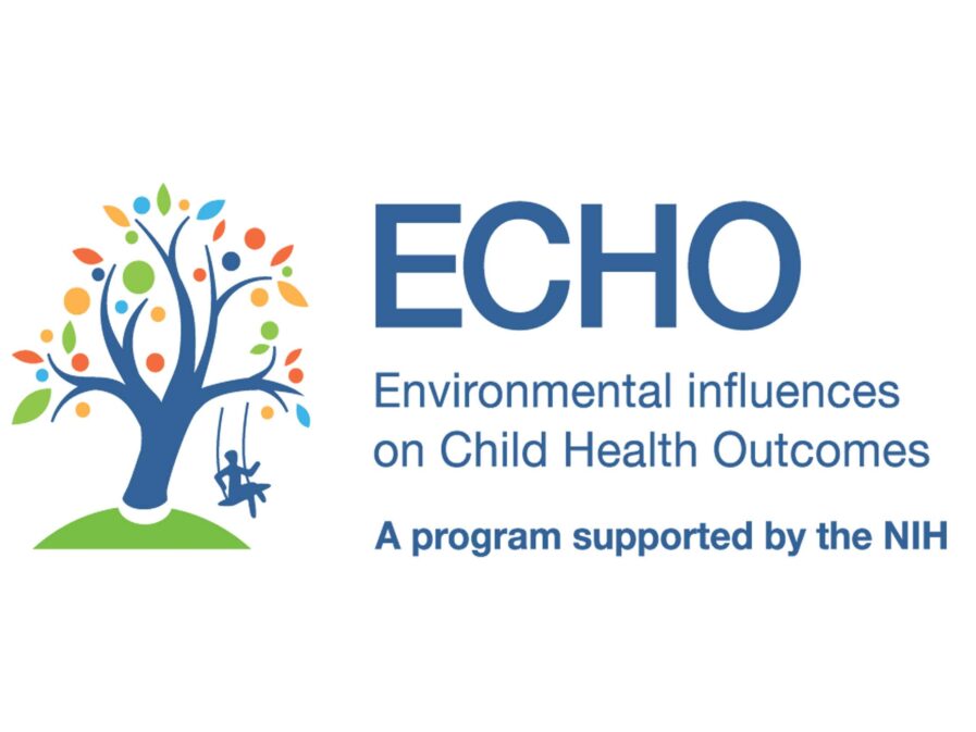 The logo for the ECHO IdEA network