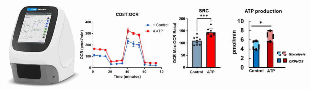 High-sensitivity Seahorse to measure the metabolic profile of immune cells. Real-time measurement of oxygen consumption rate, ATP production rate from mitochondrial respiration and glycolysis from both immune and non-immune cells.
