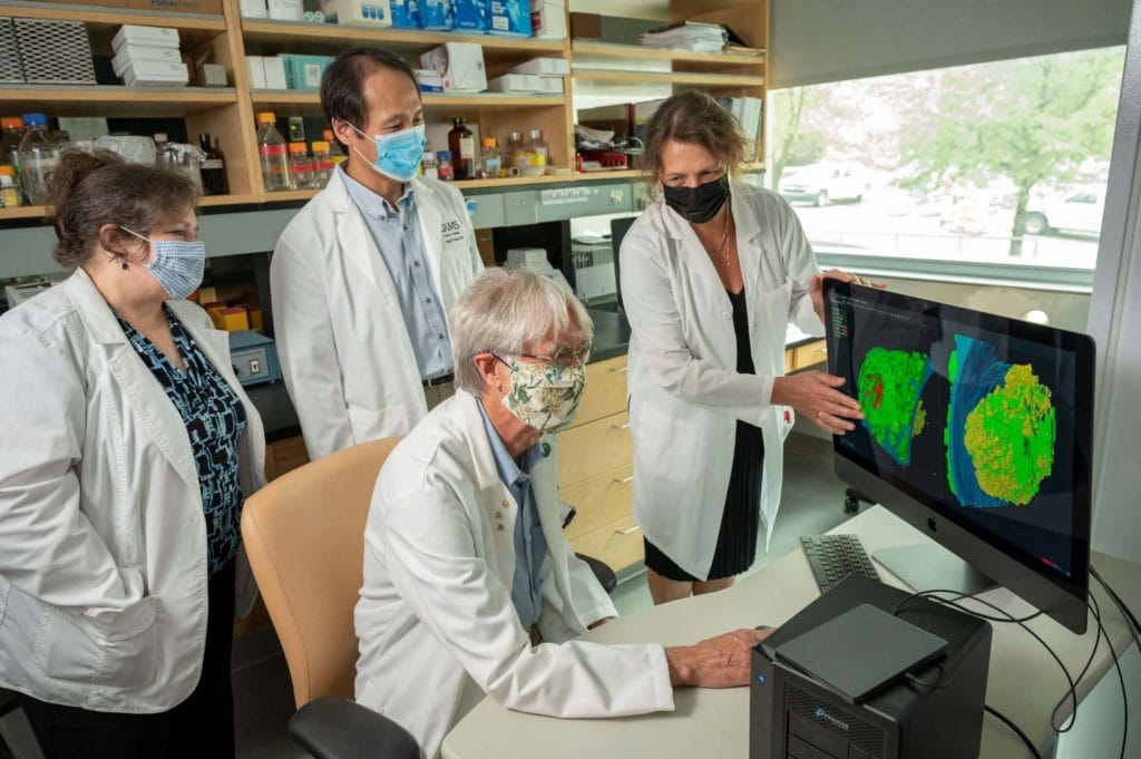 Dr. Brian Storrie with colleagues examining an image on a computer monitor