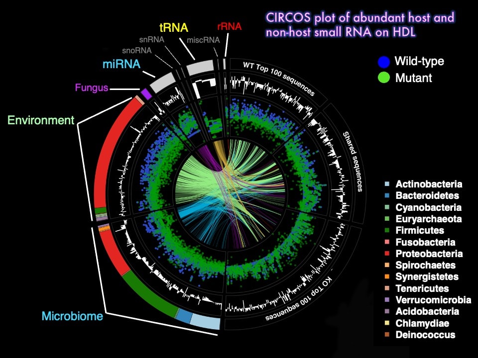 Graphic showing CIRCOS plot of abundant host and non-host small RNA on HDL.