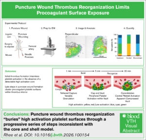 Visual abstract