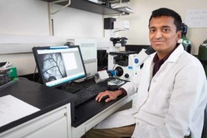 Dr. Rajaram in his lab