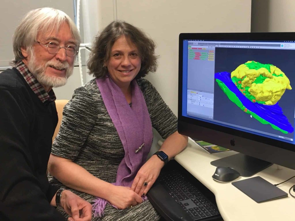 Two scientists at computer; colorful image on screen
