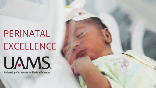 Baby in NICU "Perinatal Excellence"