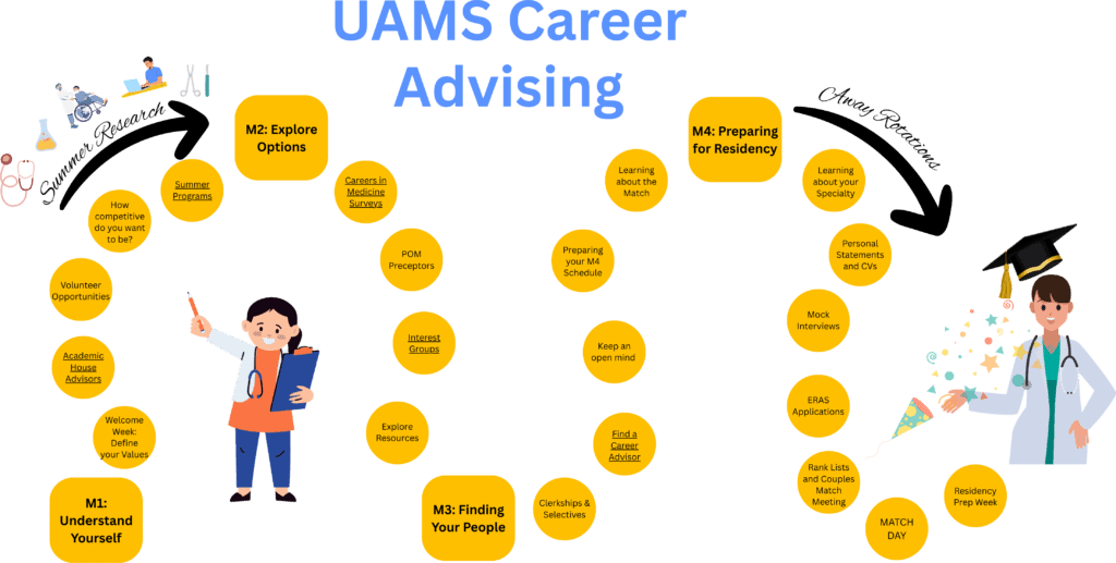 Graphic explaining journey through med school